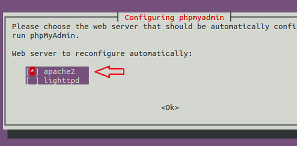 Phpmyadmin Install Ubuntu Server