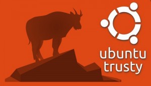 Ubuntu-14-04-LTS image