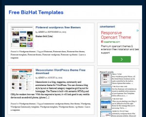 bizhat_templates