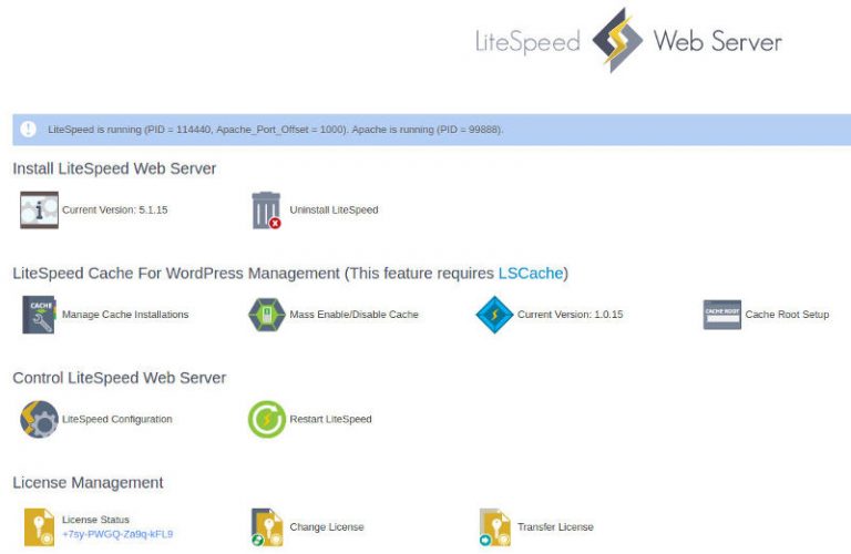 install litespeed web server