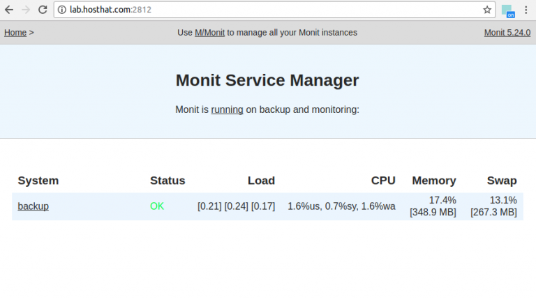 monit program service check