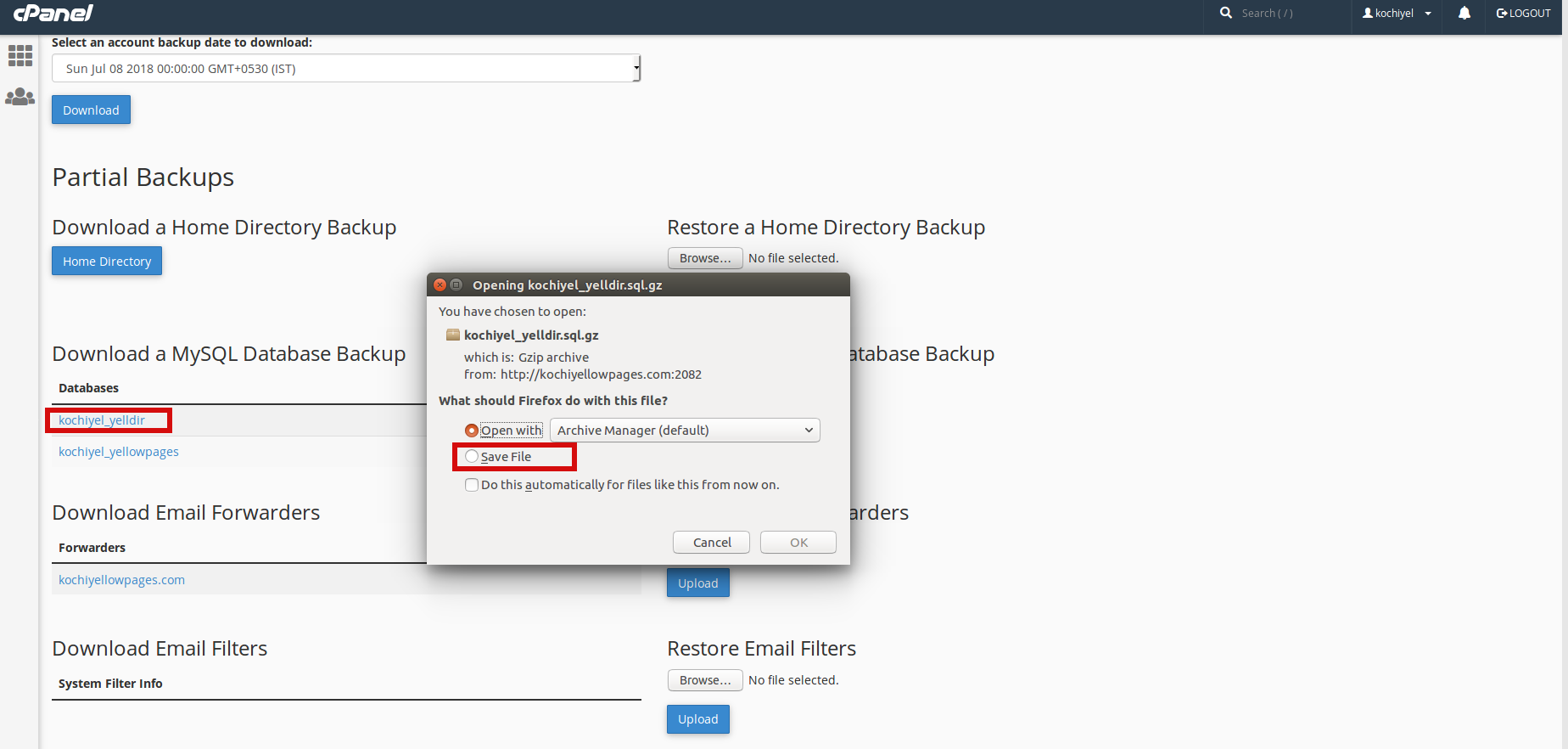 cpanel download sql database